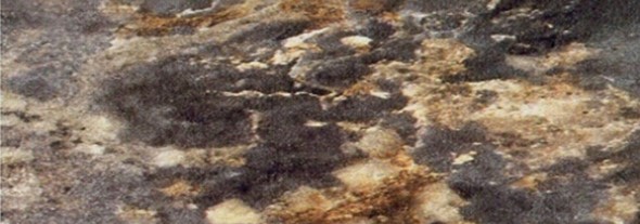 Кухонная столешница 100*60 см Королевский опал темный в Тюмени - изображение